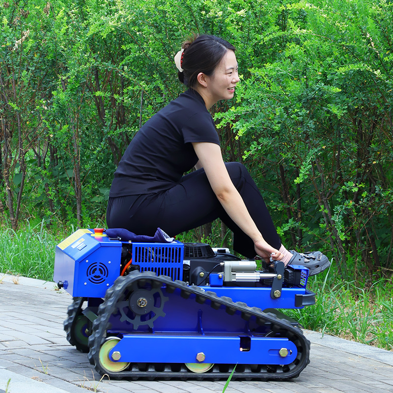 Maßgefertigter Ferngesteuerter – Hedge Trimmer Cordless Bewertung und Preis