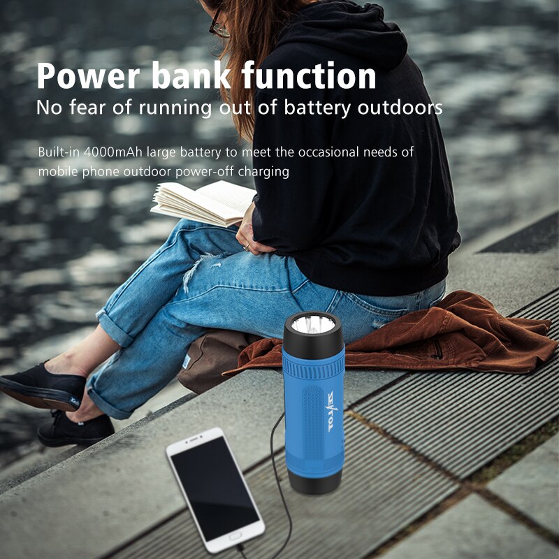 ZEALOT-S1 Bluetooth-Lautsprech – Outdoor Power Amplifier Bewertung und Preis